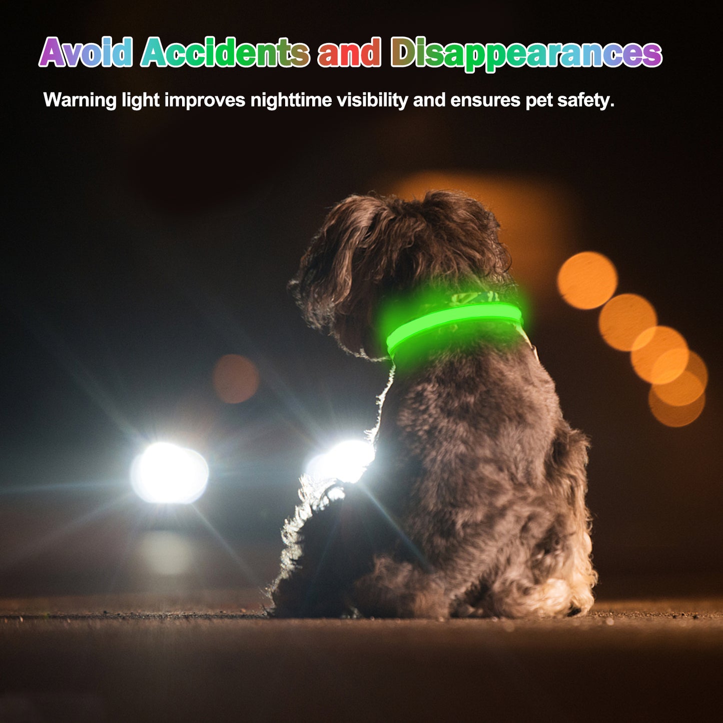Light Up Dog Collar - Dog Collar Lights For The Dark Night, Adjustable Flashing Dog Collar Rechargeable, LED Dog Collar With 3 Flash Modes For Large, Medium And Small Dogs--Size M