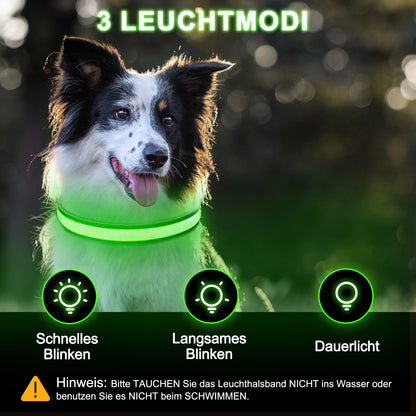 Light Up Dog Collar - Dog Collar Lights For The Dark Night, Adjustable Flashing Dog Collar Rechargeable, LED Dog Collar With 3 Flash Modes For Large, Medium And Small Dogs--Size M